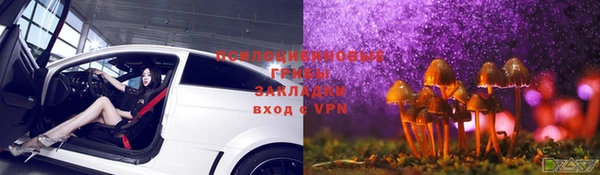 гашик Дмитриев