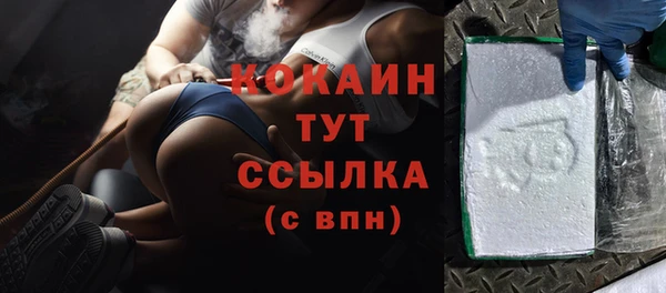 гашик Дмитриев