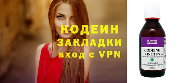 гашик Дмитриев