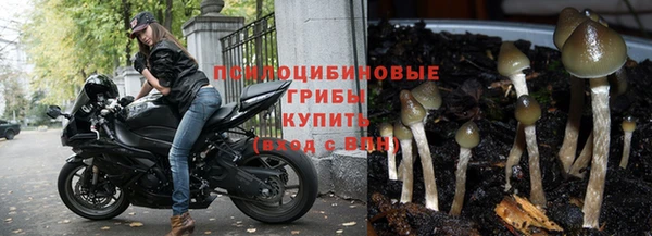 гашик Дмитриев
