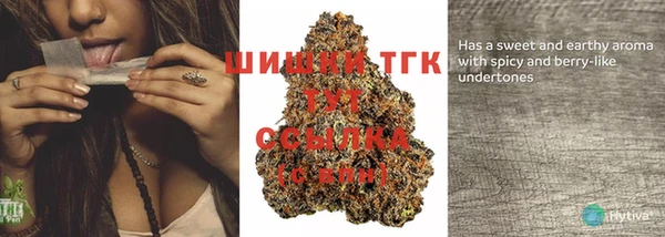 гашик Дмитриев