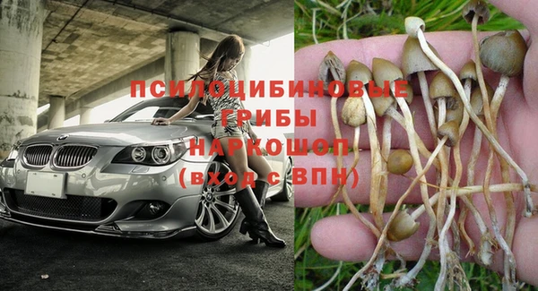 гашик Дмитриев